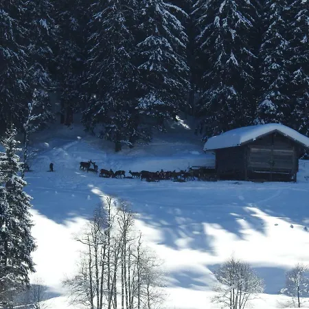 Blockhaus Ganschitter Apartment Grossarl Exterior photo