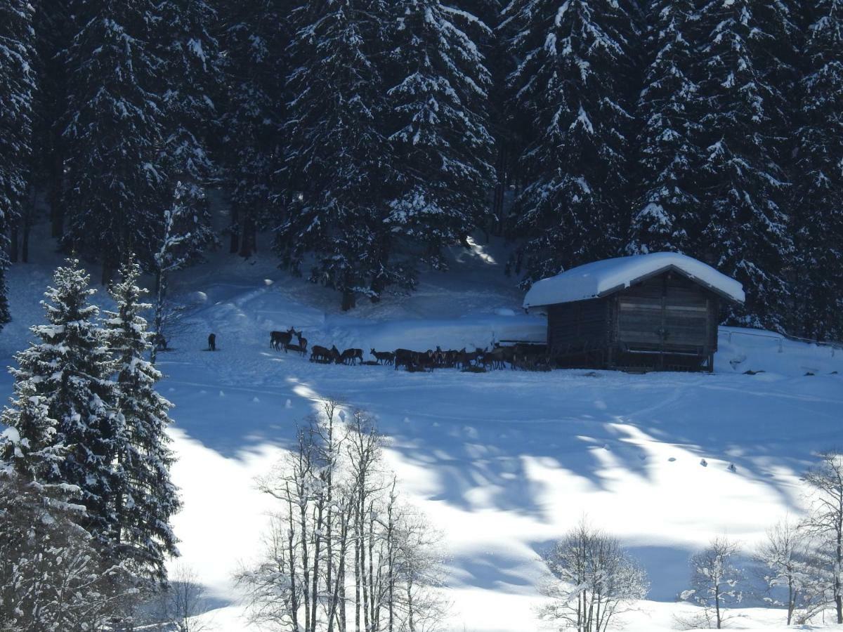 Appartamento Blockhaus Ganschitter