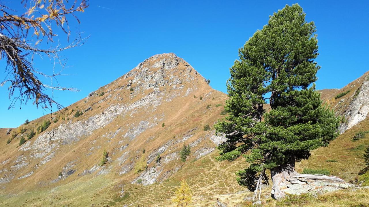 Blockhaus Ganschitter Grossarl